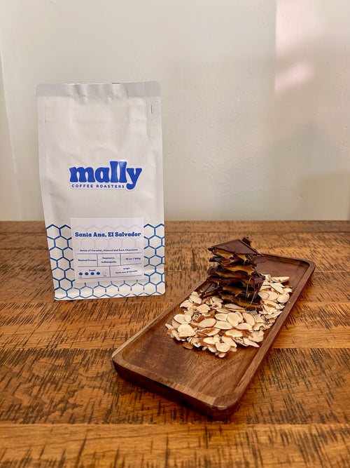 El Salvador, Santa Ana